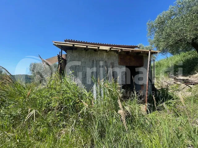 Rustico/Casale in vendita a Mentana - foto 2