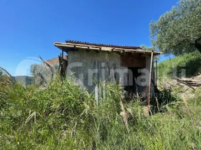 Rustico/Casale in vendita a Mentana - foto 2