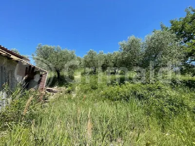 Rustico/Casale in vendita a Mentana - foto 7