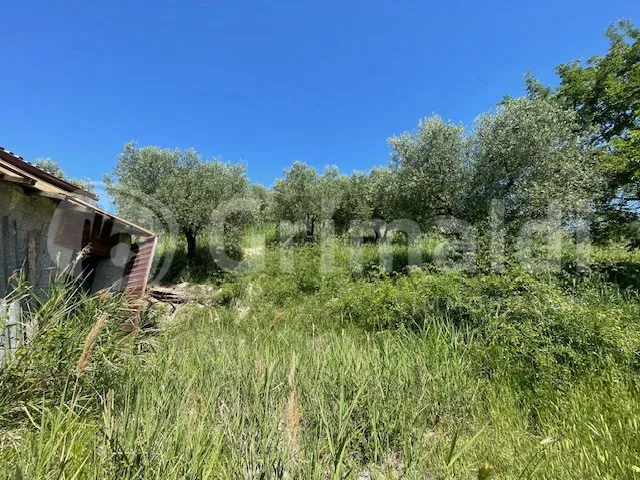 Rustico/Casale in vendita a Mentana - foto 7