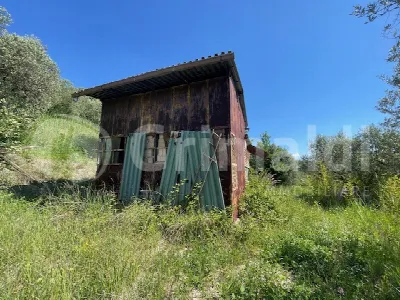 Rustico/Casale in vendita a Mentana - foto 8