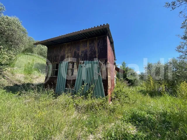 Rustico/Casale in vendita a Mentana - foto 8