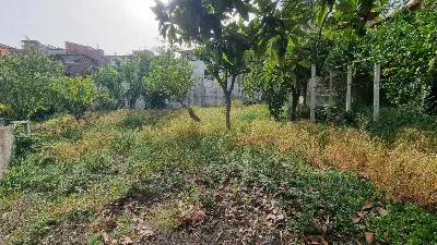 Palazzo/Stabile in vendita a Gualtieri Sic... - foto 10