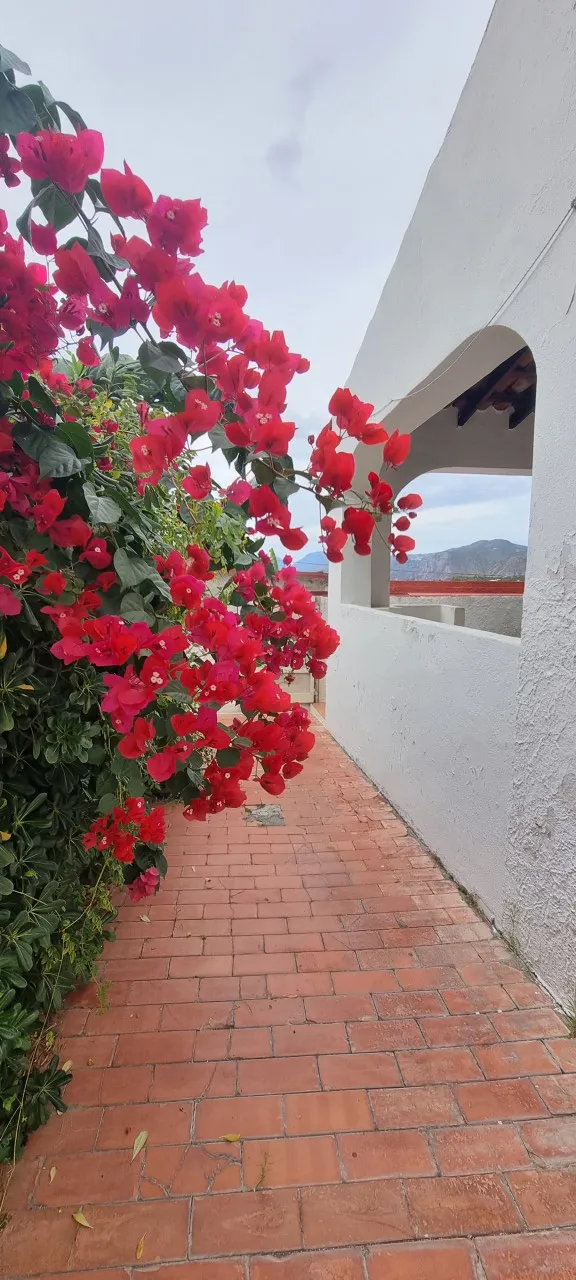 Casa Indipendente in vendita a Lipari - foto 3