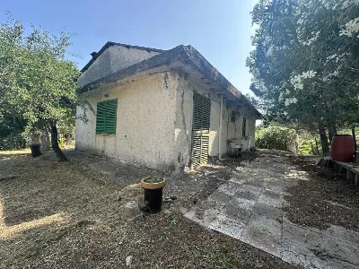 Casa Indipendente in vendita a Gualtieri S... - foto 2