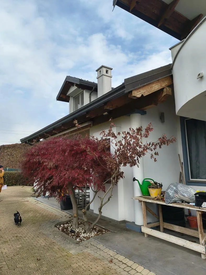Appartamento in vendita a Nichelino - foto 9