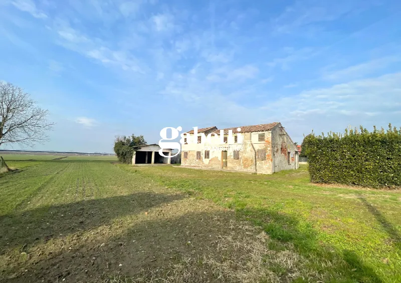 Rustico/Casale in vendita a Candiana - foto 1