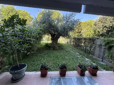 Villetta a schiera in vendita a Grosseto, ... - foto 1