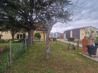 Appartamento in vendita a Campagnatico - foto 8