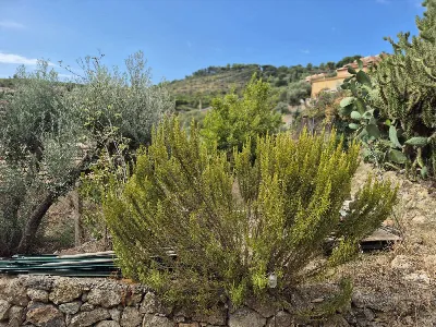 Casa Indipendente in vendita a Monte Argen... - foto 10