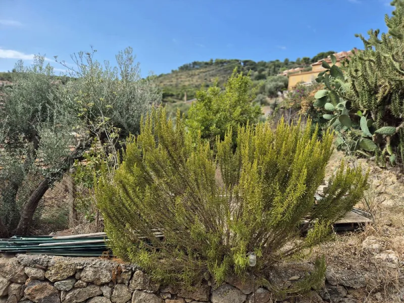 Casa Indipendente in vendita a Monte Argentario - foto 10