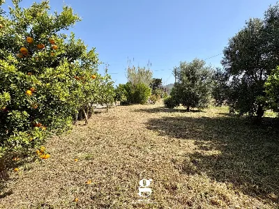 Casa Indipendente in vendita a Casal Velin... - foto 9