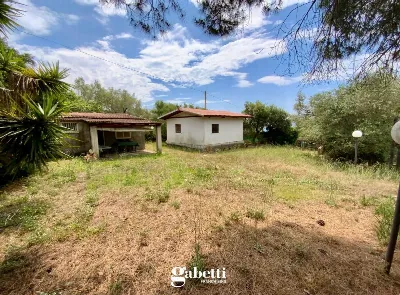 Casa Indipendente in vendita a Casal Velin... - foto 2