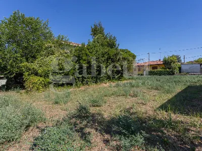 Rustico/Casale in vendita a Cinto Caomaggi... - foto 4