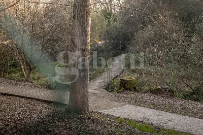 Rustico/Casale in vendita a Pordenone, Tor... - foto 3
