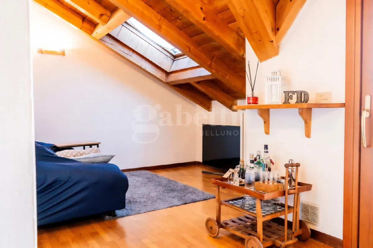 Appartamento in vendita a Belluno - foto 2