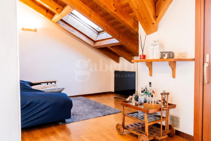 Appartamento in vendita a Belluno - foto 2