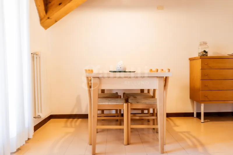 Appartamento in vendita a Belluno - foto 7