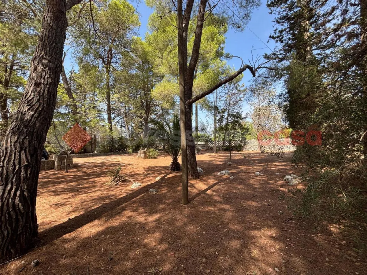 Villa in vendita a Sava - foto 2