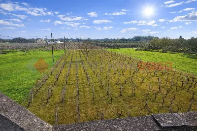Villetta a schiera in vendita a San Marzan... - foto 9