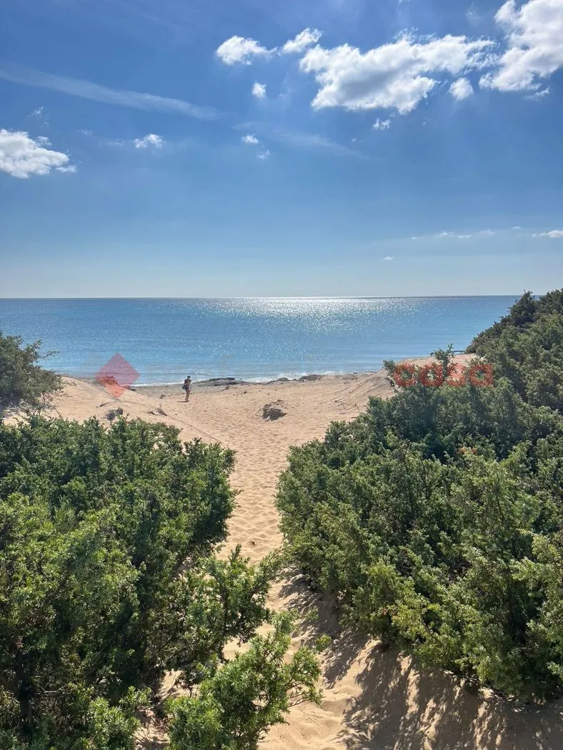 Appartamento in vendita a Maruggio - foto 4