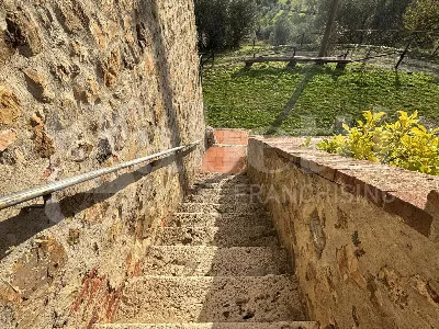 Rustico/Casale in vendita a Massa Marittim... - foto 2