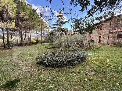 Rustico/Casale in vendita a Massa Marittim... - foto 3