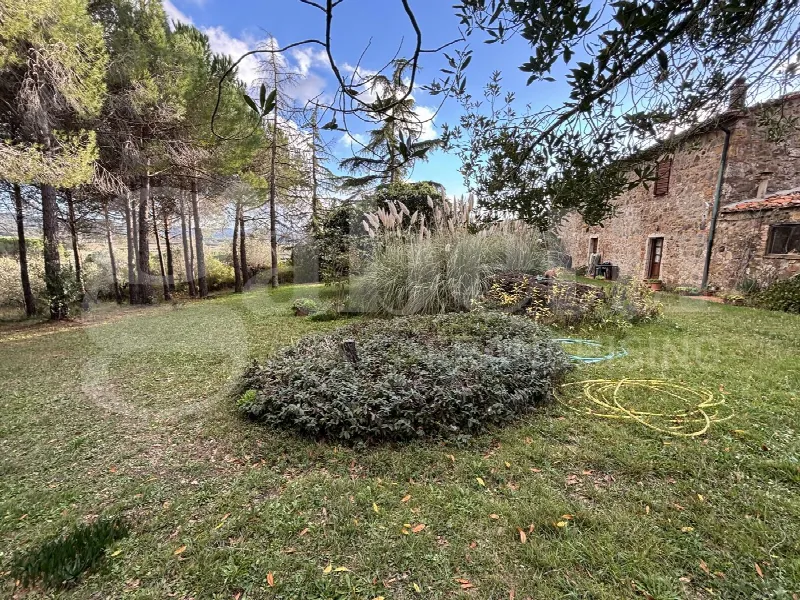 Rustico/Casale in vendita a Massa Marittima - foto 3