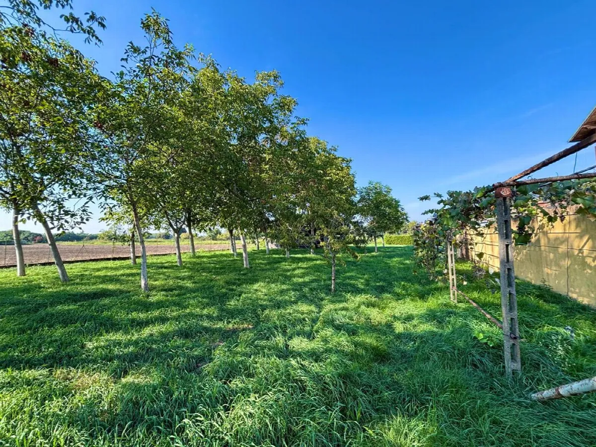 Casa Indipendente in vendita a Corbetta - foto 2