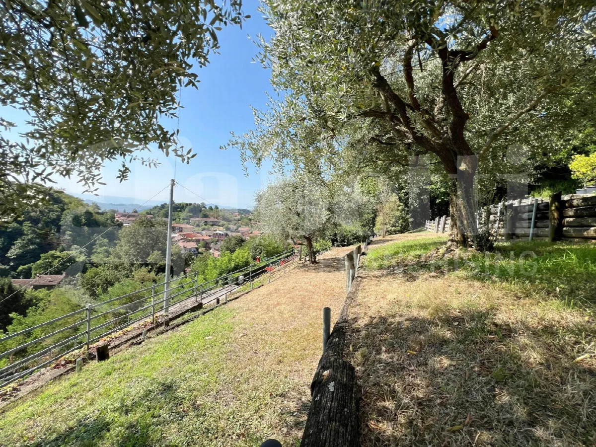 Casa Indipendente in vendita a Baldissero d'Alba - foto 3