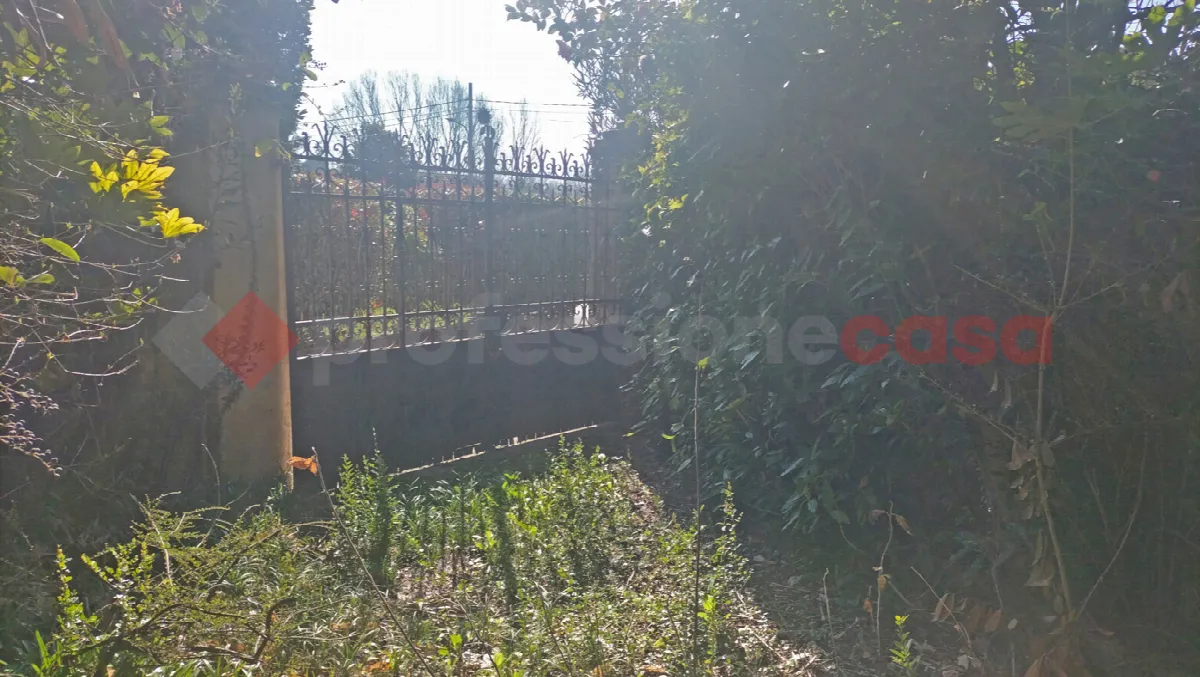 Casa Indipendente in vendita ad Agrate Conturbia - foto 3