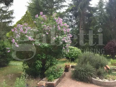 Villetta a schiera in vendita a Rocca di B... - foto 10