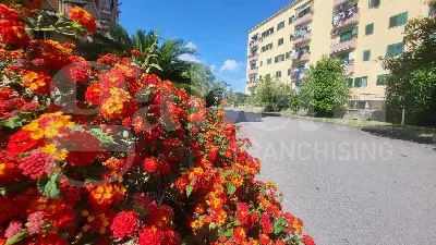Appartamento in vendita a Napoli, Fuorigro... - foto 1