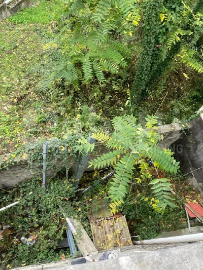 Casa Indipendente in vendita a Santi Cosma... - foto 7