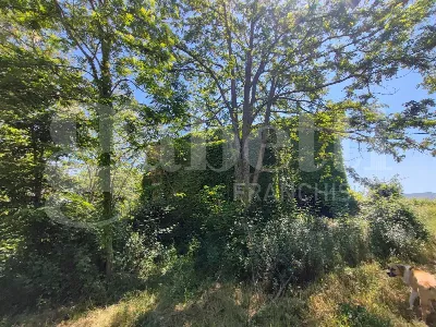 Rustico/Casale in vendita a Sessa Aurunca - foto 10