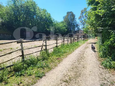 Rustico/Casale in vendita a Sessa Aurunca - foto 2