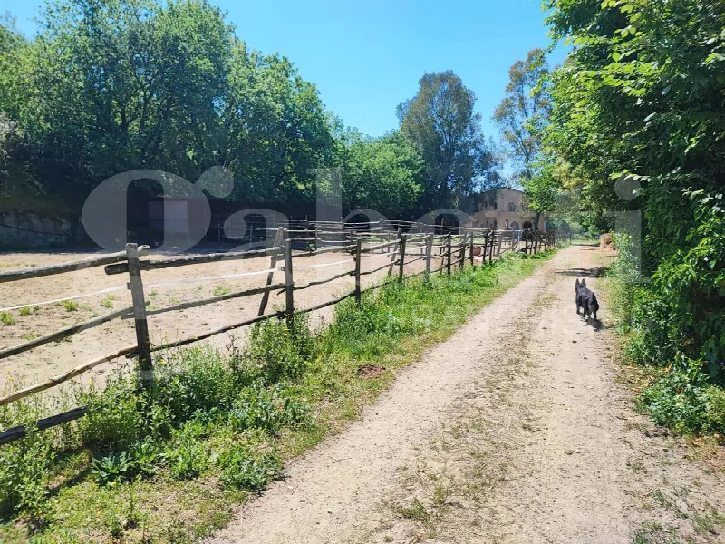 Rustico/Casale in vendita a Sessa Aurunca - foto 2