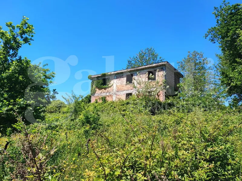 Rustico/Casale in vendita a Sessa Aurunca - foto 5