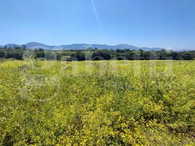 Rustico/Casale in vendita a Sessa Aurunca - foto 6