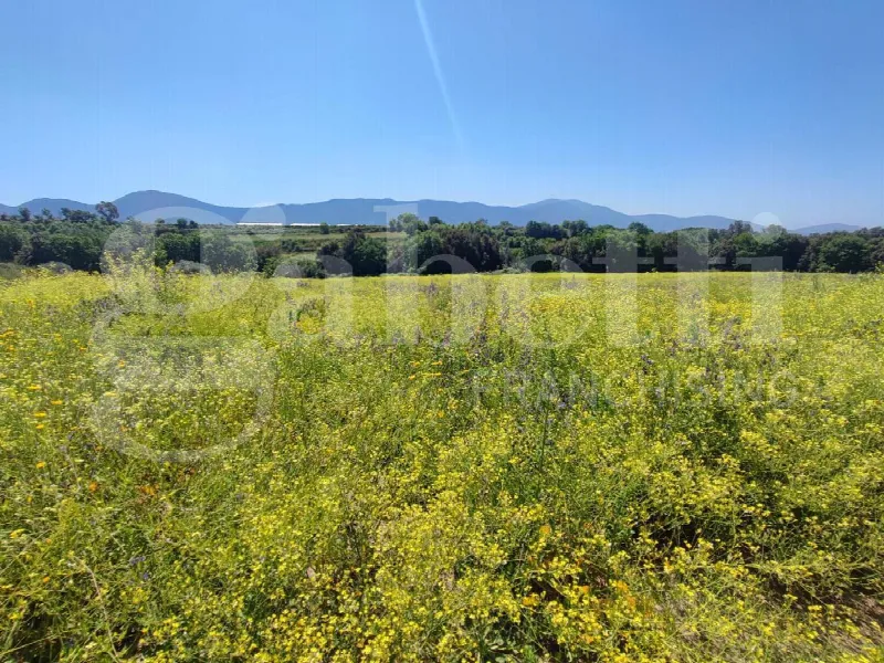 Rustico/Casale in vendita a Sessa Aurunca - foto 6