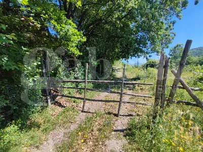 Rustico/Casale in vendita a Sessa Aurunca - foto 7