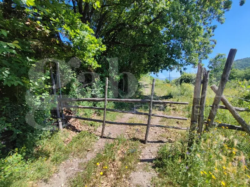Rustico/Casale in vendita a Sessa Aurunca - foto 7