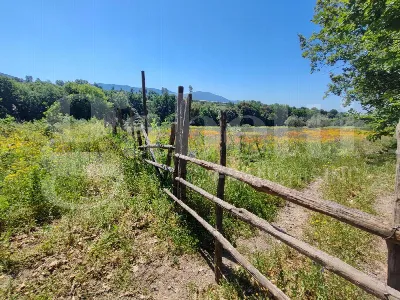 Rustico/Casale in vendita a Sessa Aurunca - foto 8