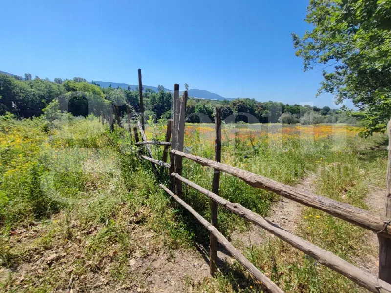 Rustico/Casale in vendita a Sessa Aurunca - foto 8
