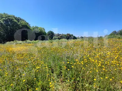 Rustico/Casale in vendita a Sessa Aurunca - foto 9