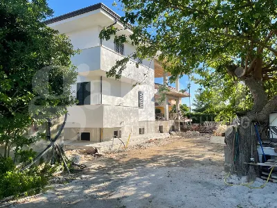Casa Indipendente in vendita a Cellole - foto 2