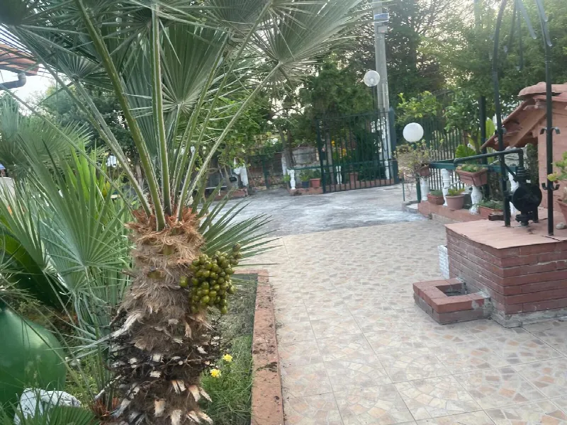 Villetta a schiera in vendita a Cellole - foto 4
