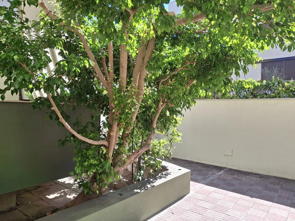 Appartamento in vendita ad Alghero - foto 4