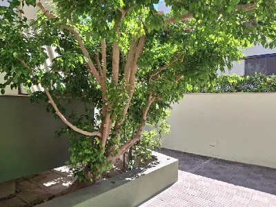 Appartamento in vendita a Alghero - foto 4