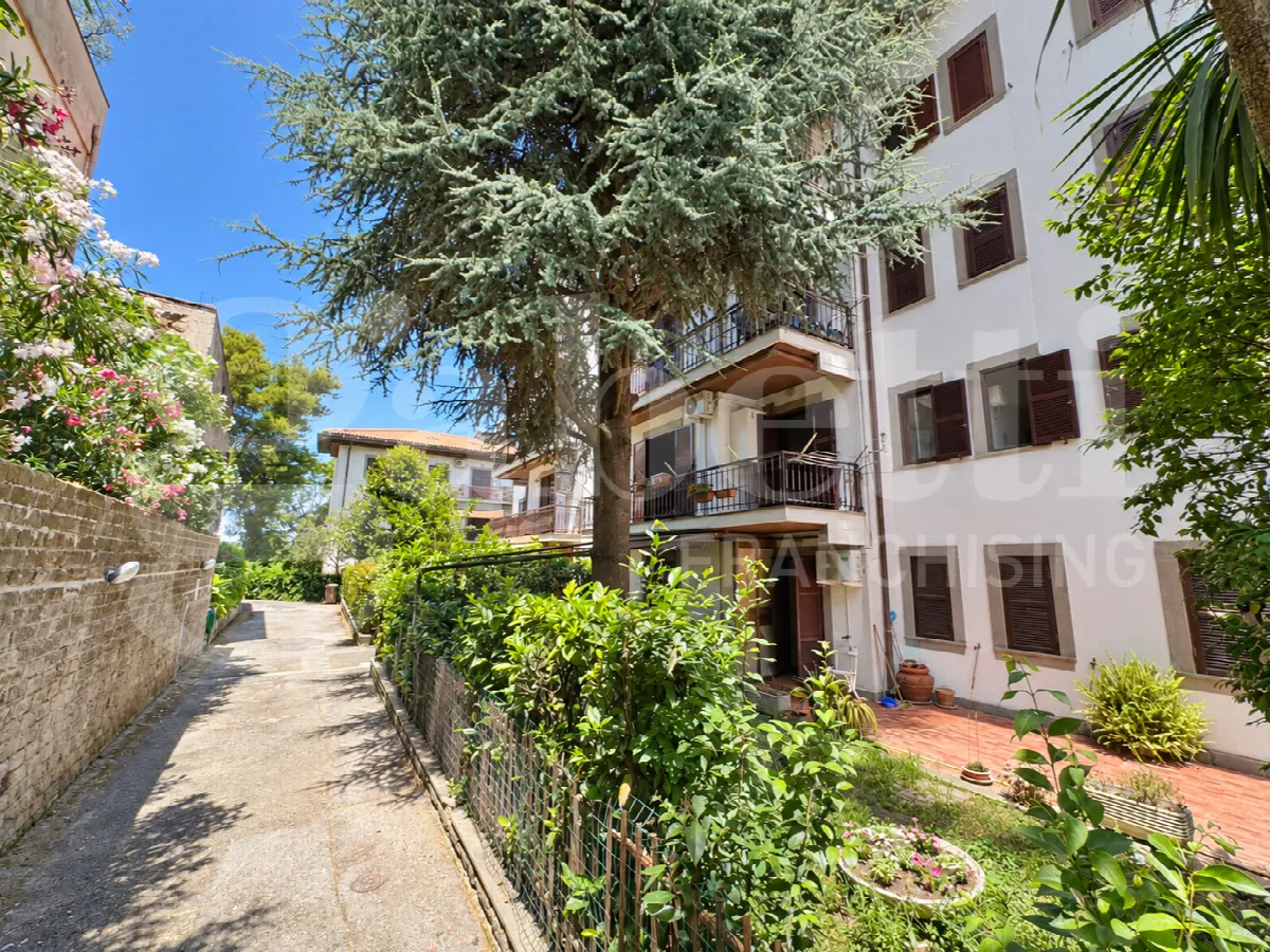 Appartamento in vendita a Marino - foto 3